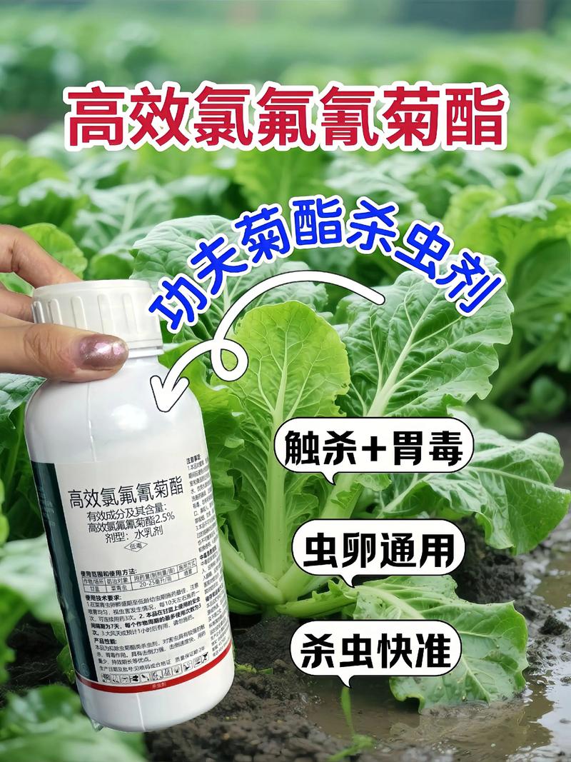 津南代生中心:农药对供卵代生妈妈的危害